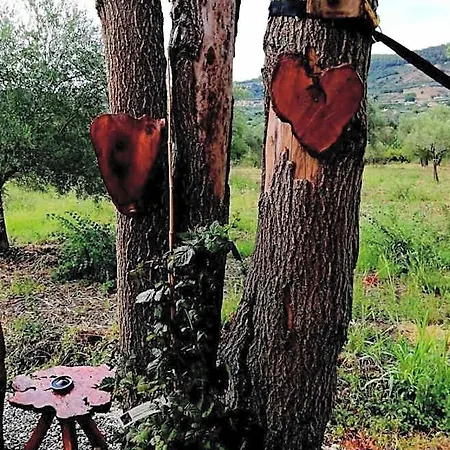 L'oasi