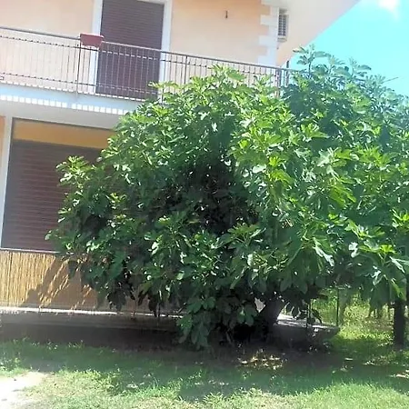 L'oasi Auletta