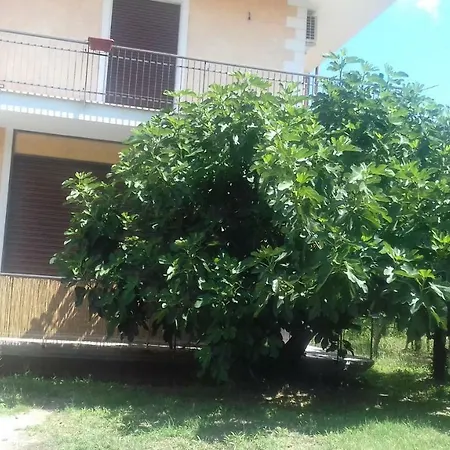 L'oasi Bed & Breakfast Auletta
